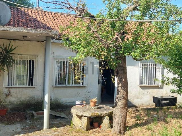 Chalet, Lalin