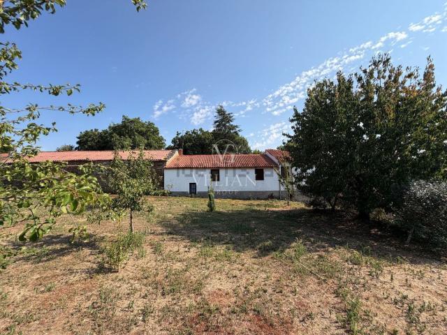 Chalet, Lalin