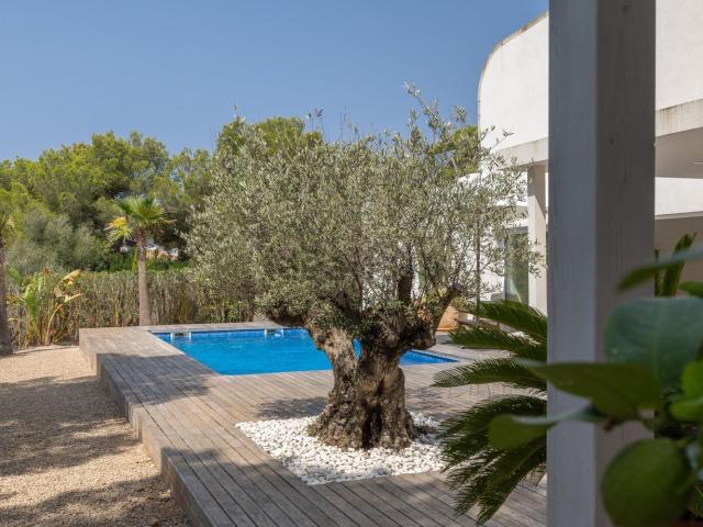 Chalet, Llucmajor