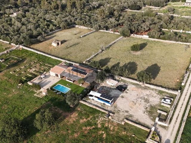 Chalet, Llubi