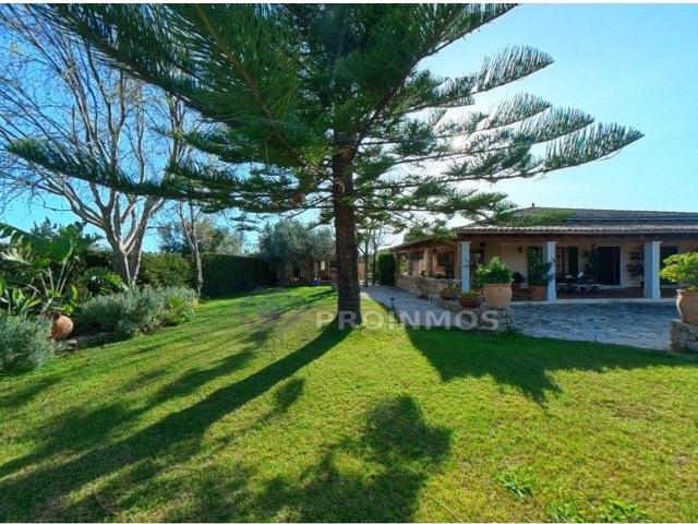 Chalet, Lloseta