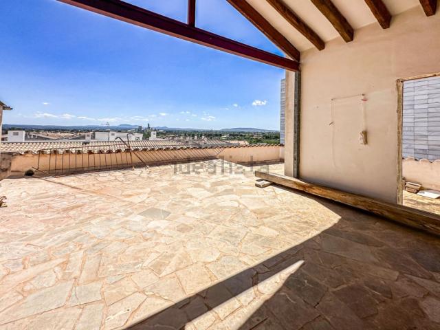 Chalet, Lloseta