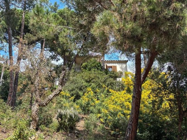 Chalet, Lloret de Mar