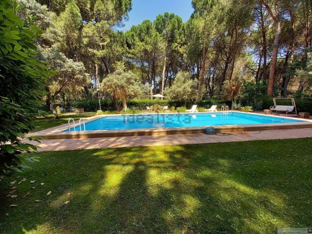 Chalet, Motilleja
