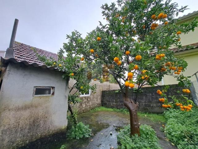 Chalet, Moaña