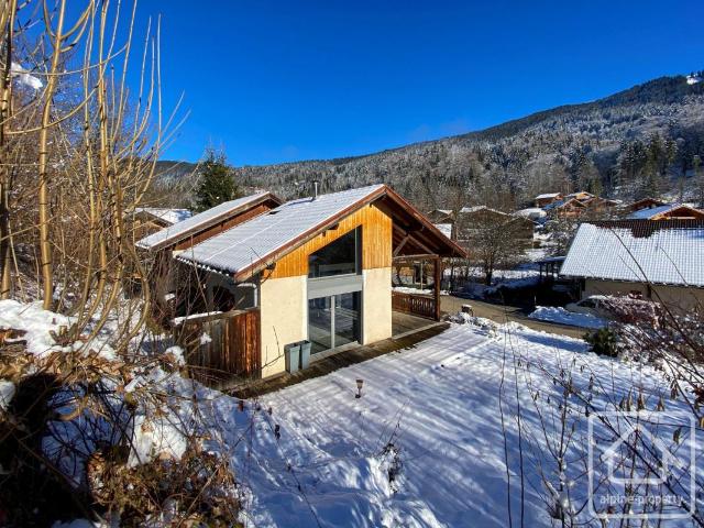 Chalet moderne 3 chambres, salle de jeu, 2 salles de douche, double abri voiture, jacuzzi et jardin