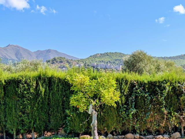 Chalet, Monda