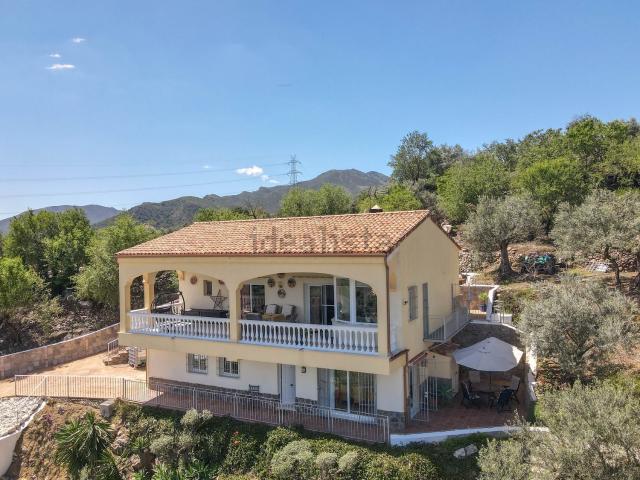 Chalet, Monda