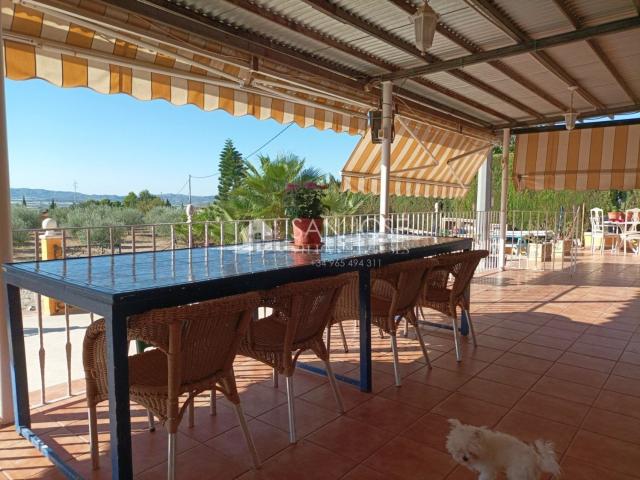Chalet, Monforte del Cid