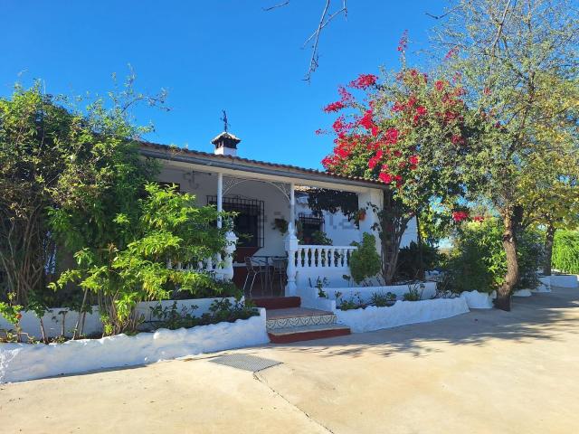 Chalet, Montoro