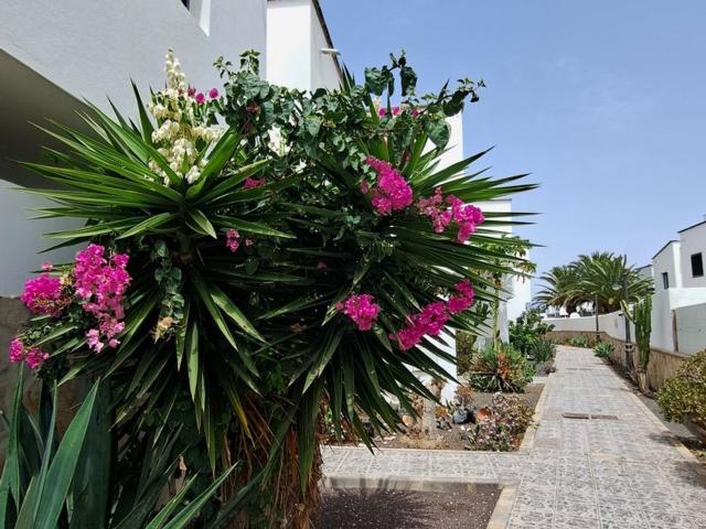 Chalet, Montaña Roja, Yaiza