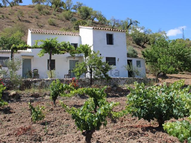Chalet, Montecorto