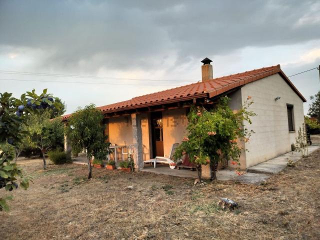 Chalet, Morales del Vino