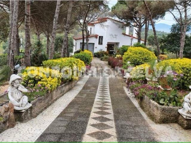 Chalet, Maçanet de la Selva