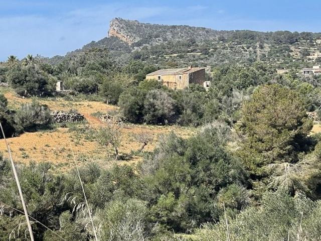 Chalet, Manacor