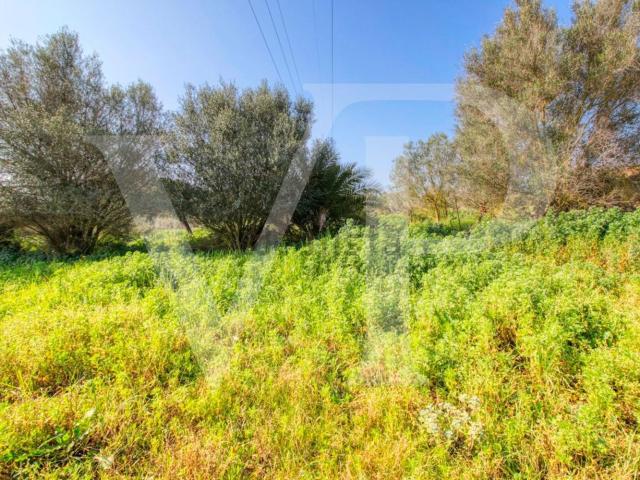 Chalet, Manacor