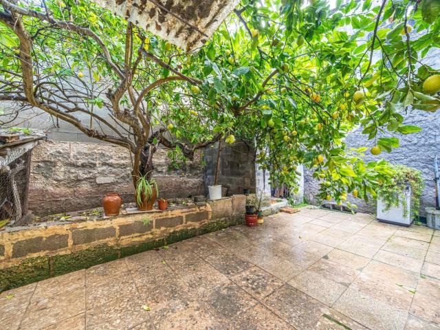 Chalet, Manacor