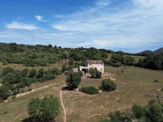 Chalet, Manacor