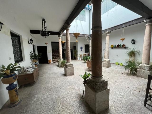 Chalet, Manzanares