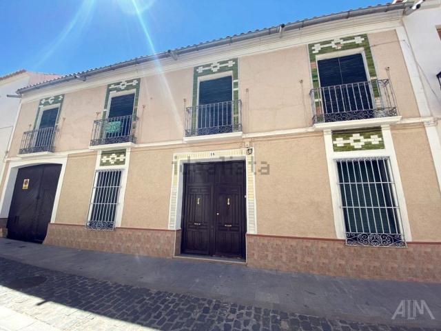 Chalet, Manzanares