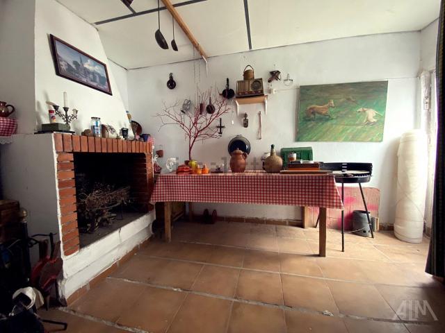 Chalet, Manzanares