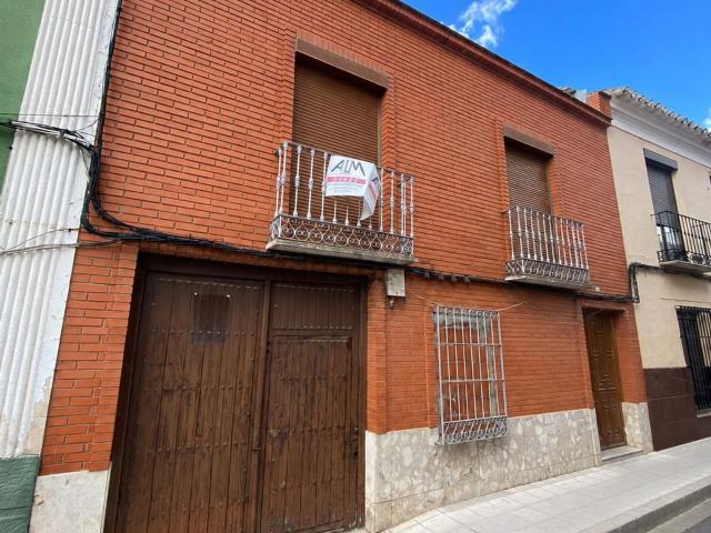 Chalet, Manzanares