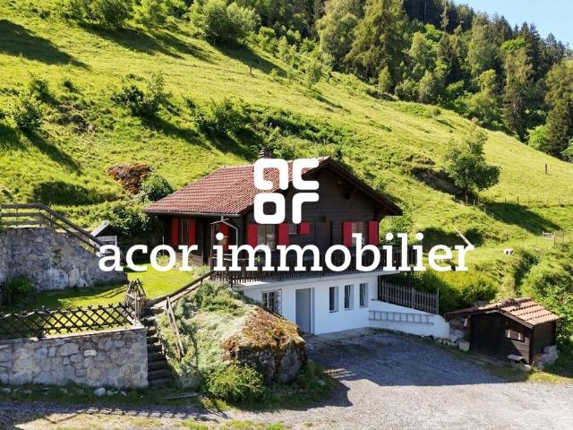Chalet mitten in der Natur – atemberaubende Aussicht und absolute Ruhe