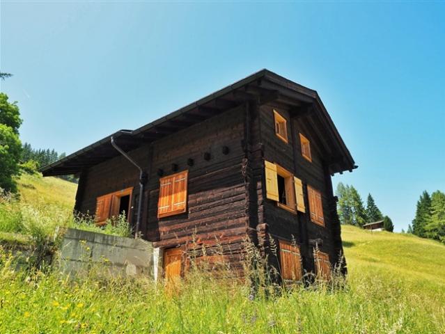 Chalet mitten in der Natur mit Blick auf das Tal