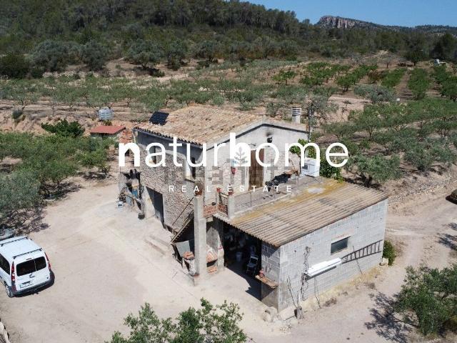 Chalet, Miravet
