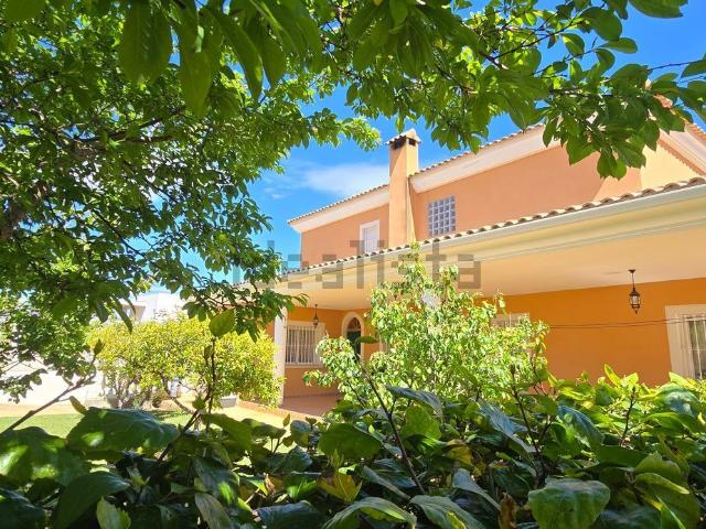 Chalet, Mutxamel