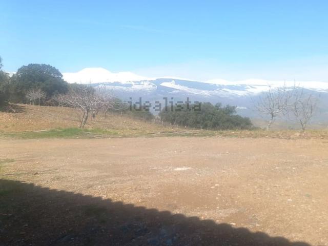 Chalet, Murtas