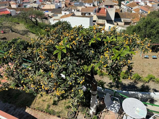Chalet, Norte Barrio del Pilar El Reñidero, Vélez Malaga