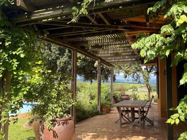 Chalet, Navata