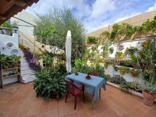 Chalet, Son Servera