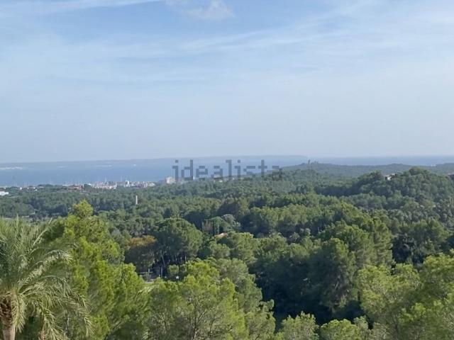 Chalet, Son Vida, Palma de Mallorca