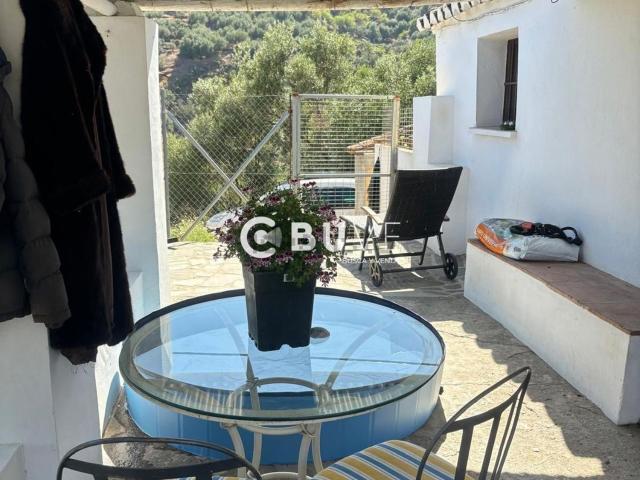 Chalet, Sayalonga
