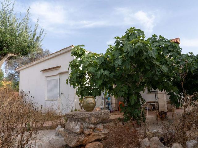 Chalet, Sa Ràpita