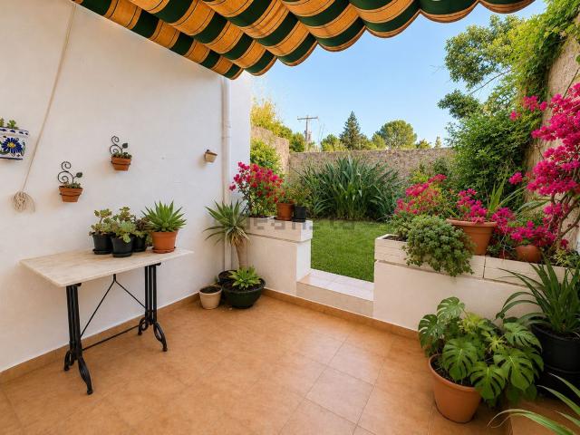 Chalet, Sagra