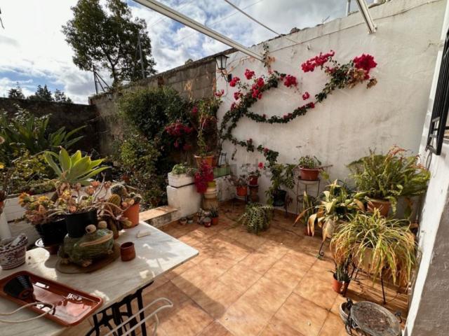 Chalet, Sagra