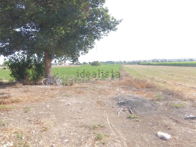 Chalet, San Fulgencio