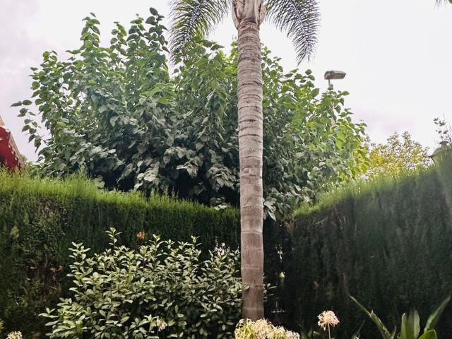 Chalet, San Juan de Alicante