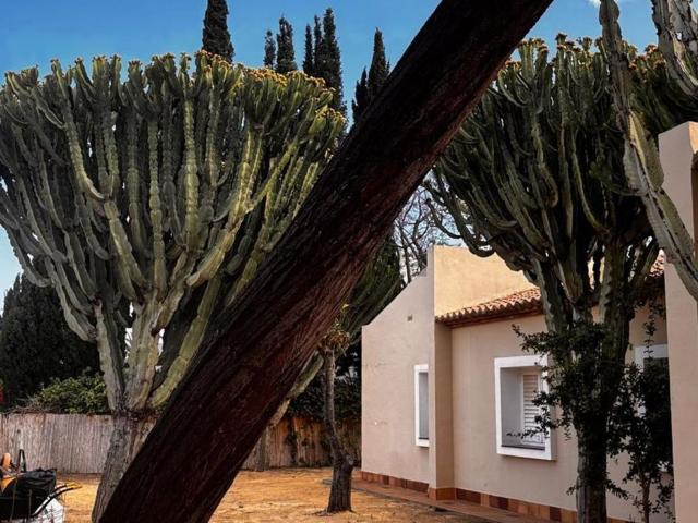Chalet, San Juan de Alicante