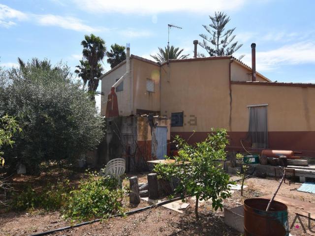 Chalet, Amposta