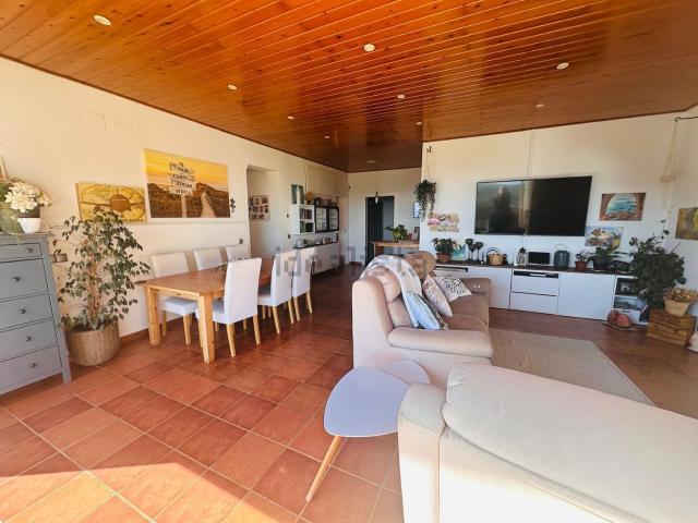 Chalet, Sant Cebrià de Vallalta