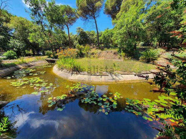 Chalet, Sant Celoni