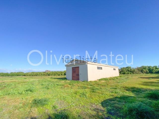 Chalet, Sant Jordi, Palma de Mallorca