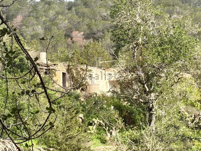 Chalet, Sant Josep de Sa Talaia