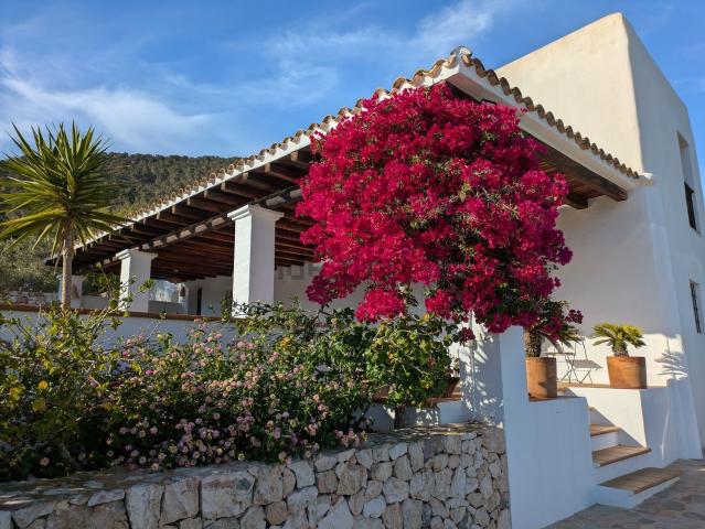 Chalet, Sant Josep de Sa Talaia