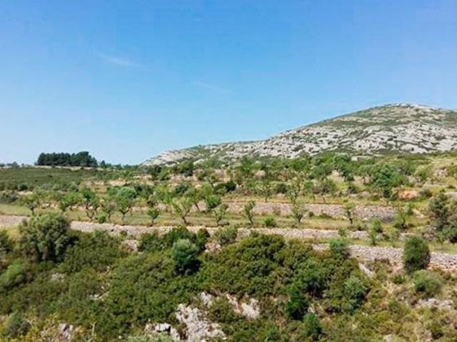Chalet, Sant Mateu