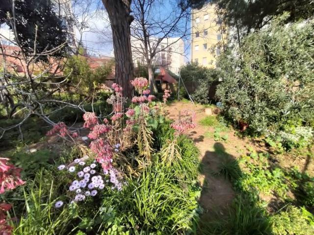 Chalet, Sant Pere, Terrassa
